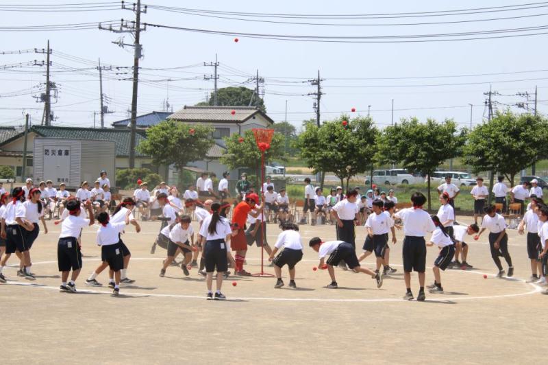 2026.05.13.1Tamaire01.jpg