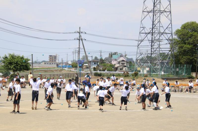 2026.05.13.1Tamaire04.jpg