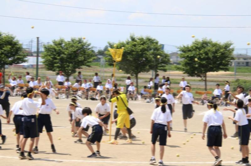 2026.05.13.2Tamaire03.jpg