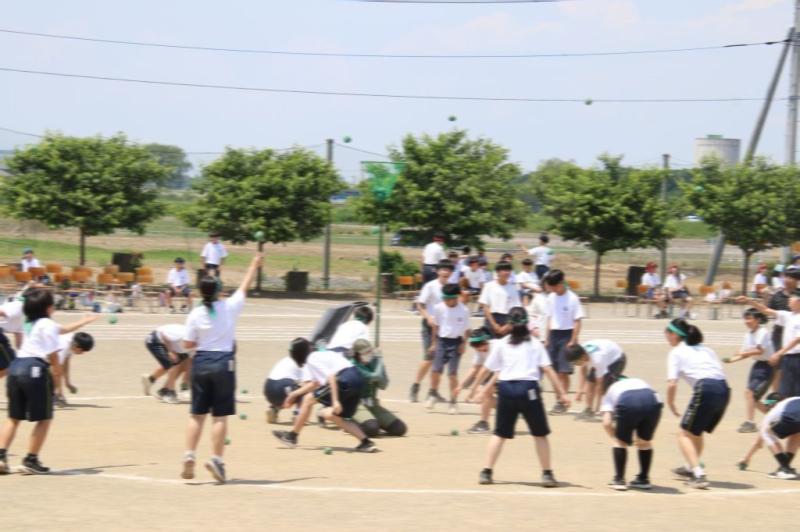 2026.05.13.2Tamaire05.jpg