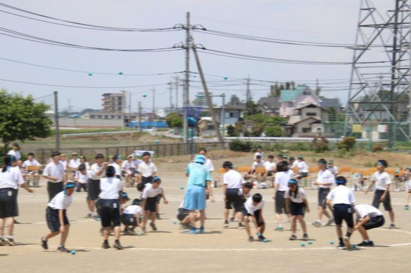 2026.05.13.2Tamaire07.jpg