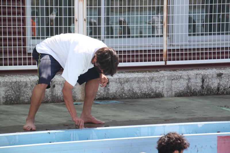 2026.06.19.Pool04.jpg