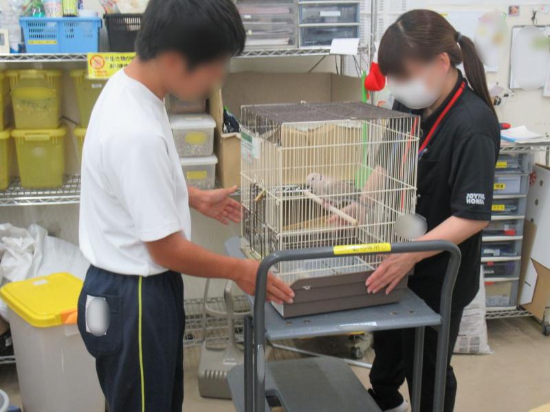 2026.10.08.Shokutai20.jpg