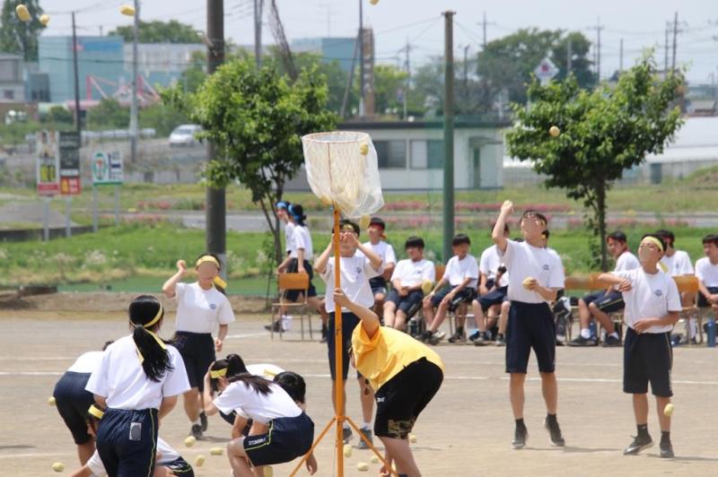 2025.05.15.3NenTaiiku26.jpg