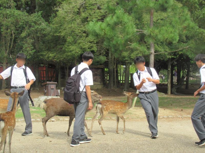 2025.09.24.Shuryo07.jpg