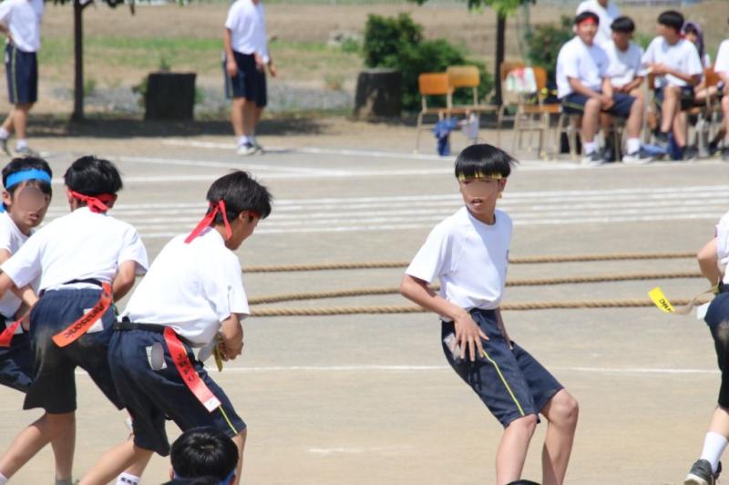 2026.05.13.3Shippo05.jpg