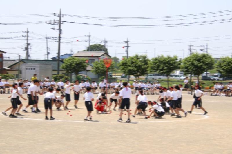 2026.05.13.3Tamaire01.jpg