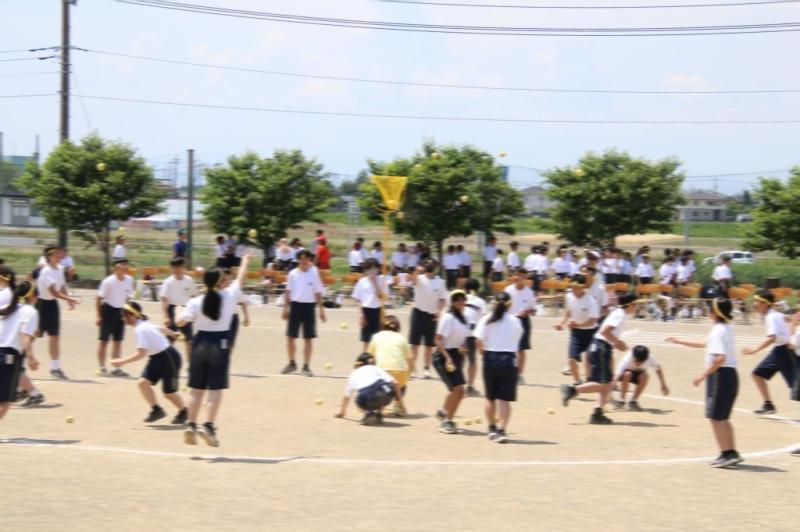 2026.05.13.3Tamaire02.jpg
