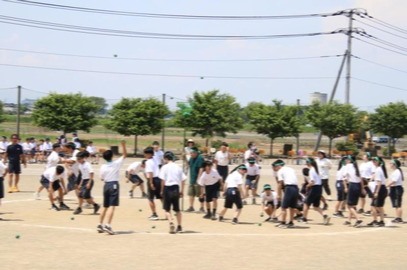 2026.05.13.3Tamaire03.jpg