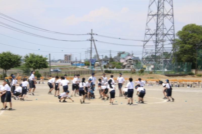 2026.05.13.3Tamaire04.jpg