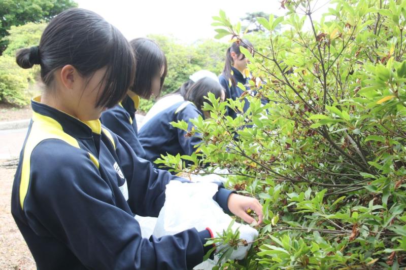 2026.06.05.Shibo02.jpg