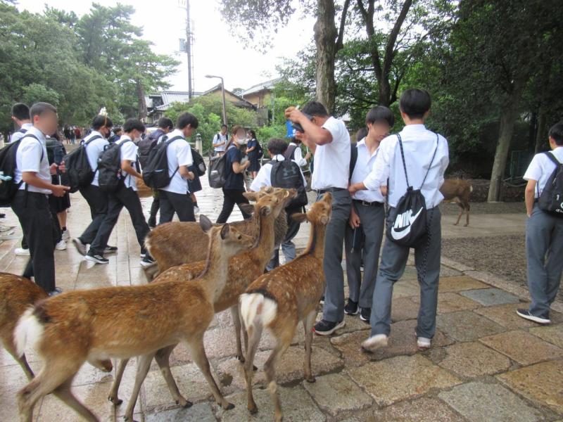2026.09.15.Shuryo10.jpg