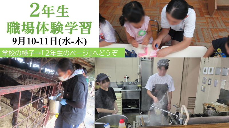 職体の画像