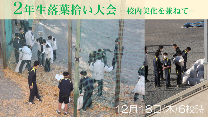 2年落ち葉の画像