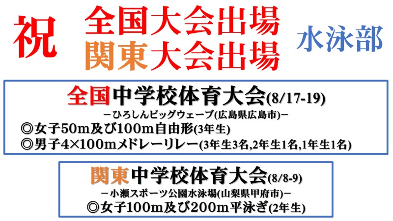 水泳の画像
