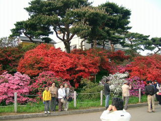 つつじが岡公園6