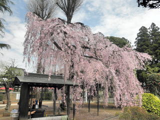 普済寺の銅鐘3