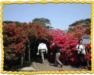 つつじが岡公園