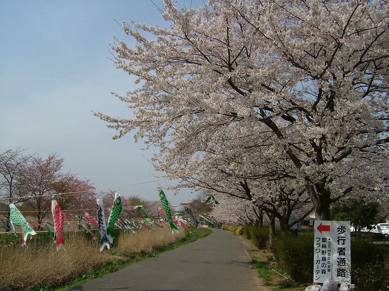 茂林寺川