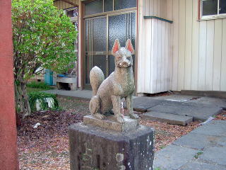 街で見かける動物たち1