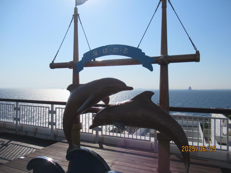 6年生修学旅行5の画像