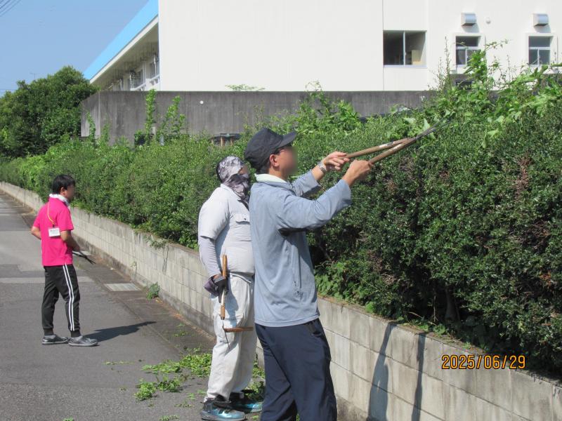 IMG_2641bokasi.JPG