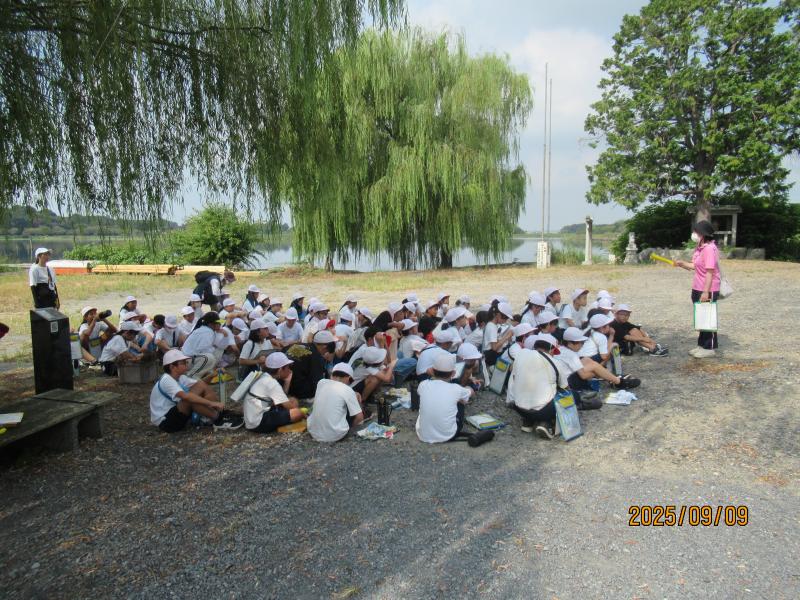5年生多々良沼散策の画像