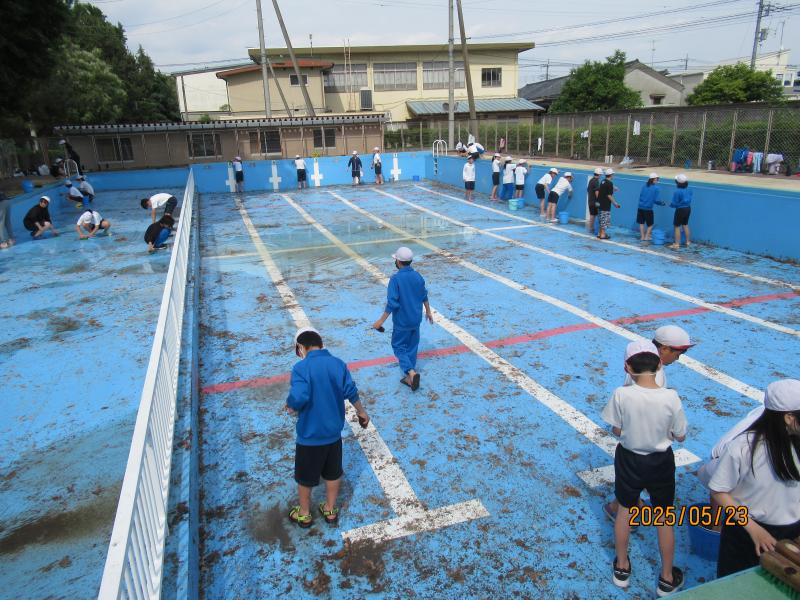 プール掃除の画像