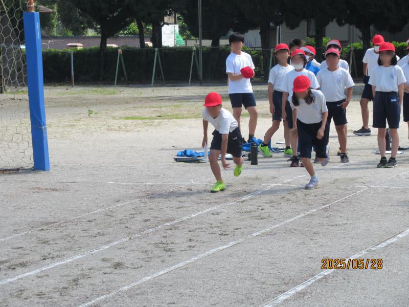 IMG_2473bokasi.JPG