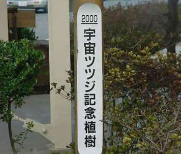 宇宙ツツジ記念樹
