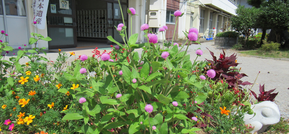 九小の花壇の画像