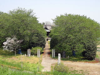 さがわだの雷電神社