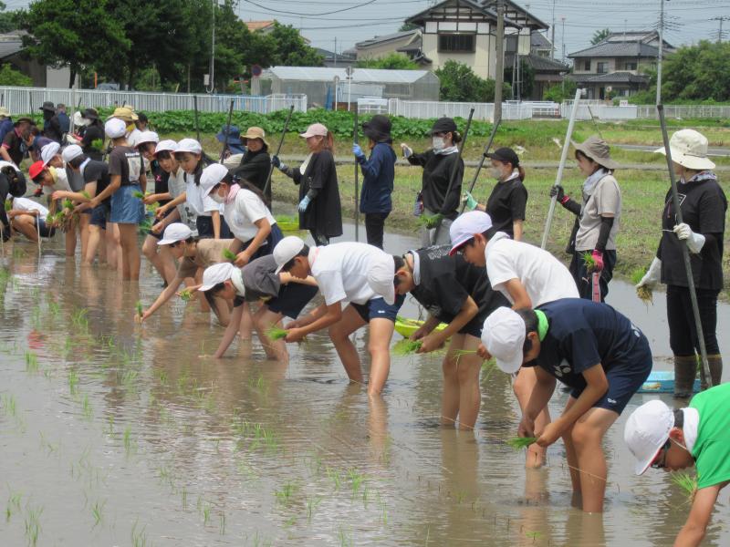の画像