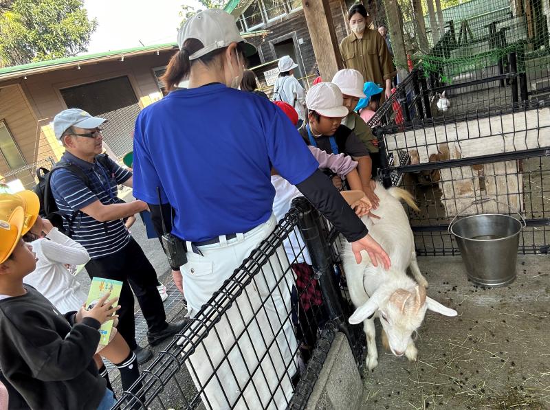 動物園の見学をする児童