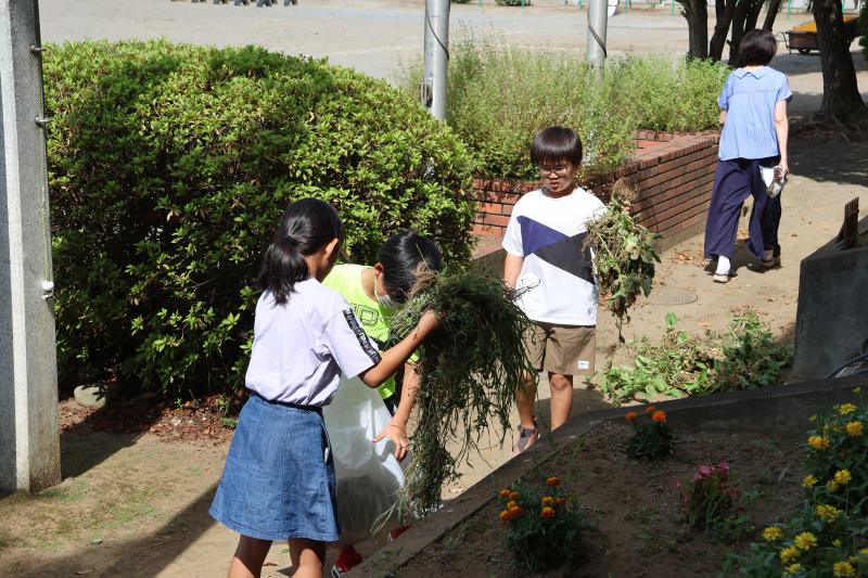 花壇の除草作業をする児童
