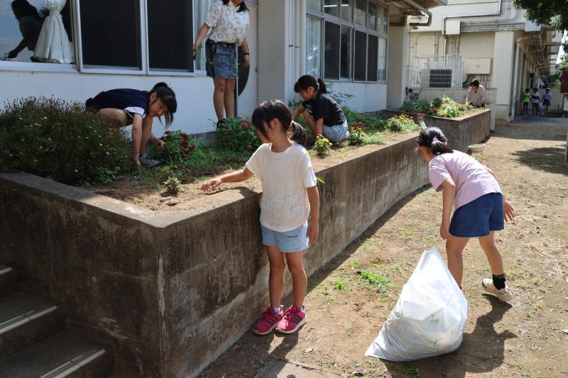 花壇の除草作業をする児童