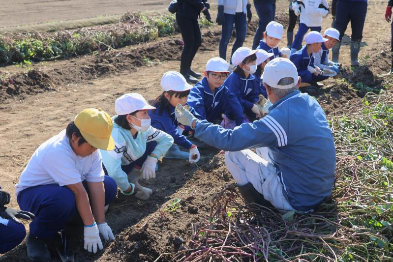 さつまいも堀りの説明を受ける児童達