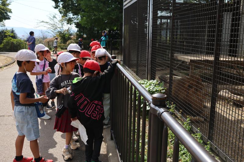 動物園の見学をする児童