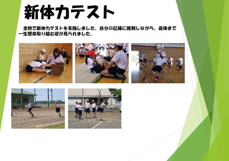 新体力テスト