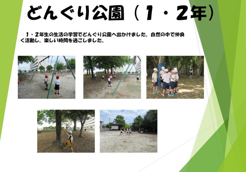 どんぐり公園（1・2年）