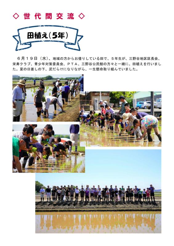 R6_03_taue.jpg