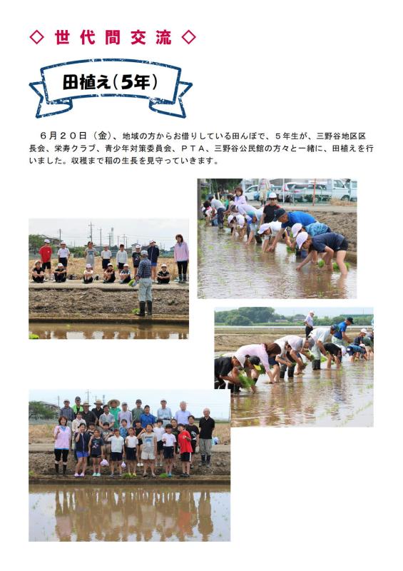 cs0703.jpg