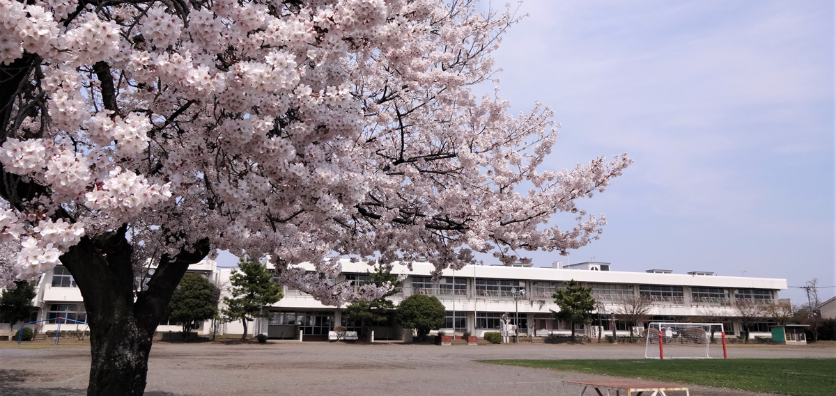 第七小学校外観の画像
