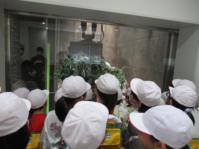 R8 4年生社会科見学2