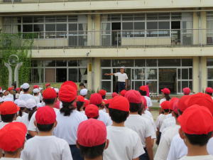 Img 981 Jpg Img 981 Jpg