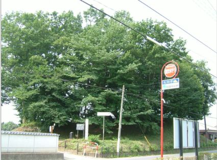 sannouyama.jpg