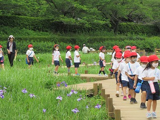 通学路探検