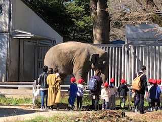 宇都宮動物園