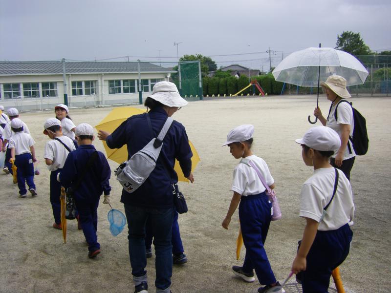 虫探し