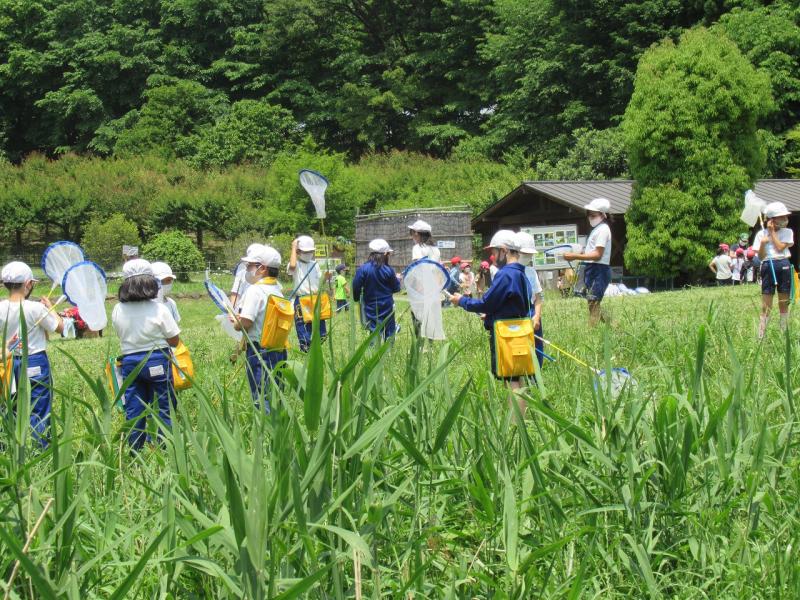 昆虫の森へ校外学習